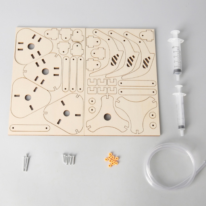 Mainan Model Penjepit Mekanis  - Science Diy Model ulasan dan harga